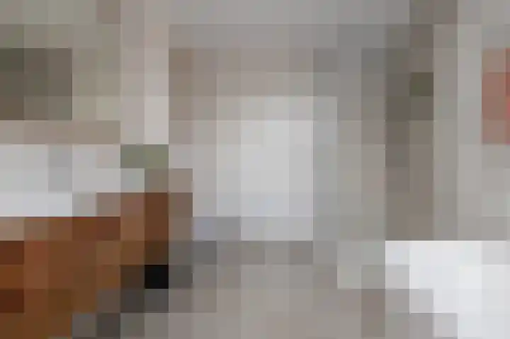 van der Hoevenlaan 5 Berkel en Rodenrijs thumbnail 14