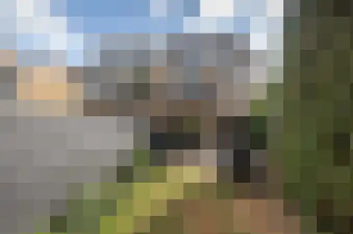van der Hoevenlaan 5 Berkel en Rodenrijs thumbnail 22