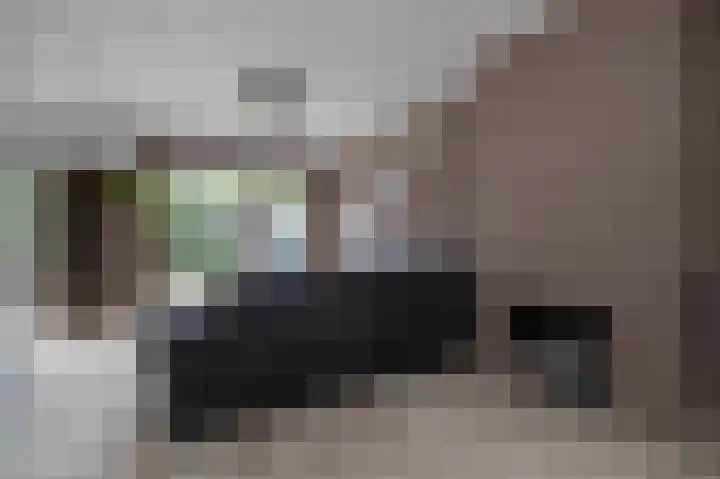 van der Hoevenlaan 5 Berkel en Rodenrijs thumbnail 7