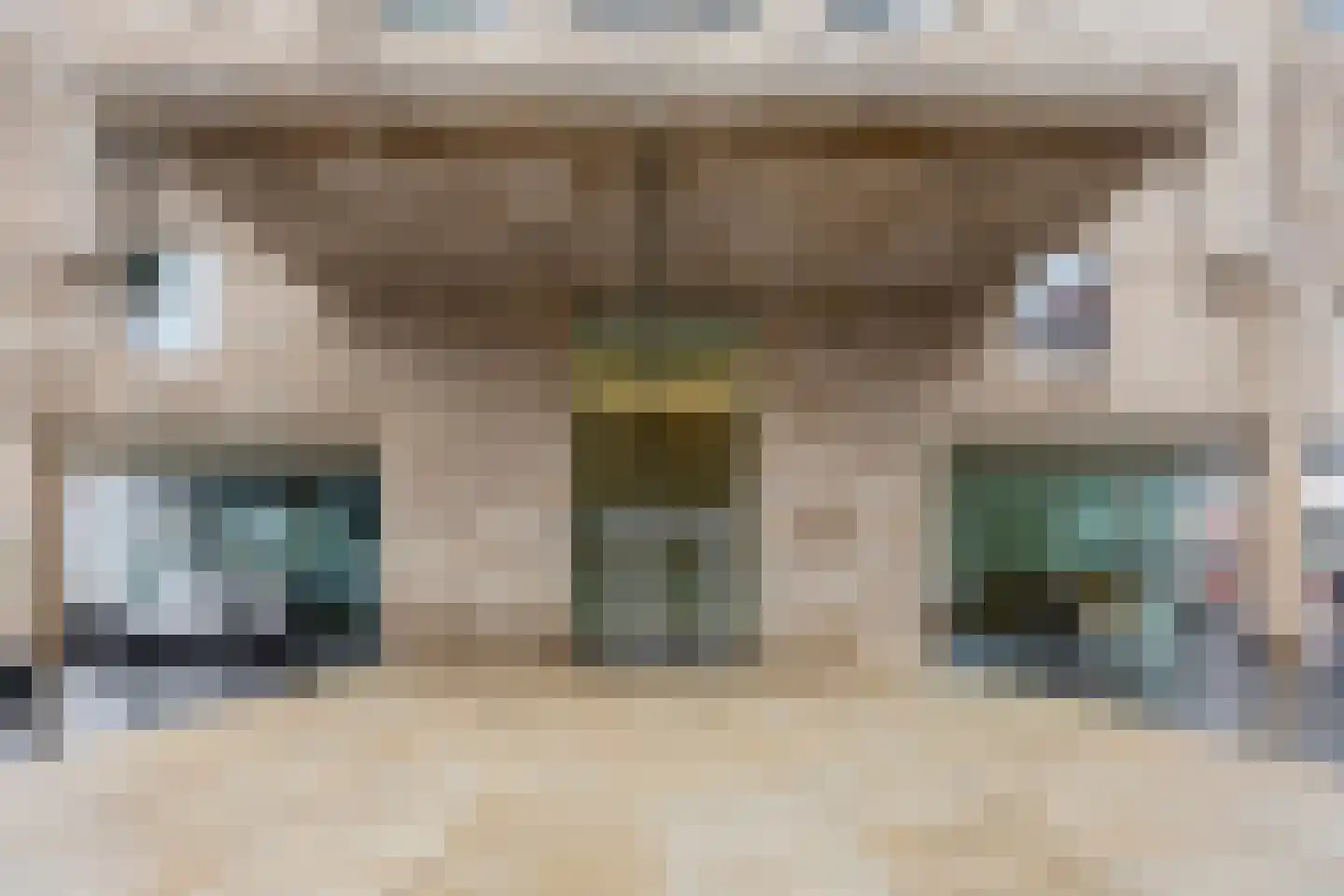 Van der Hoevenplein 102 Rotterdam thumbnail 7