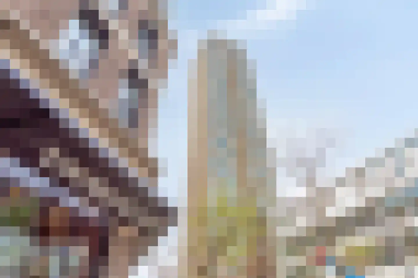 Van der Hoevenplein 179 Rotterdam thumbnail 42