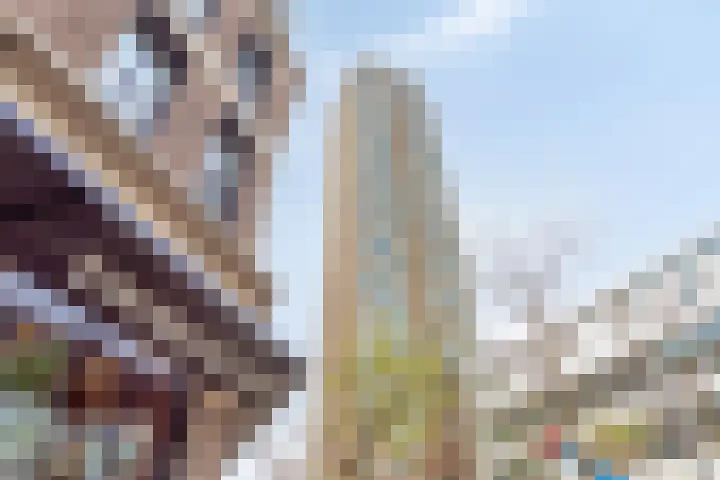 Van der Hoevenplein 179 Rotterdam thumbnail 50