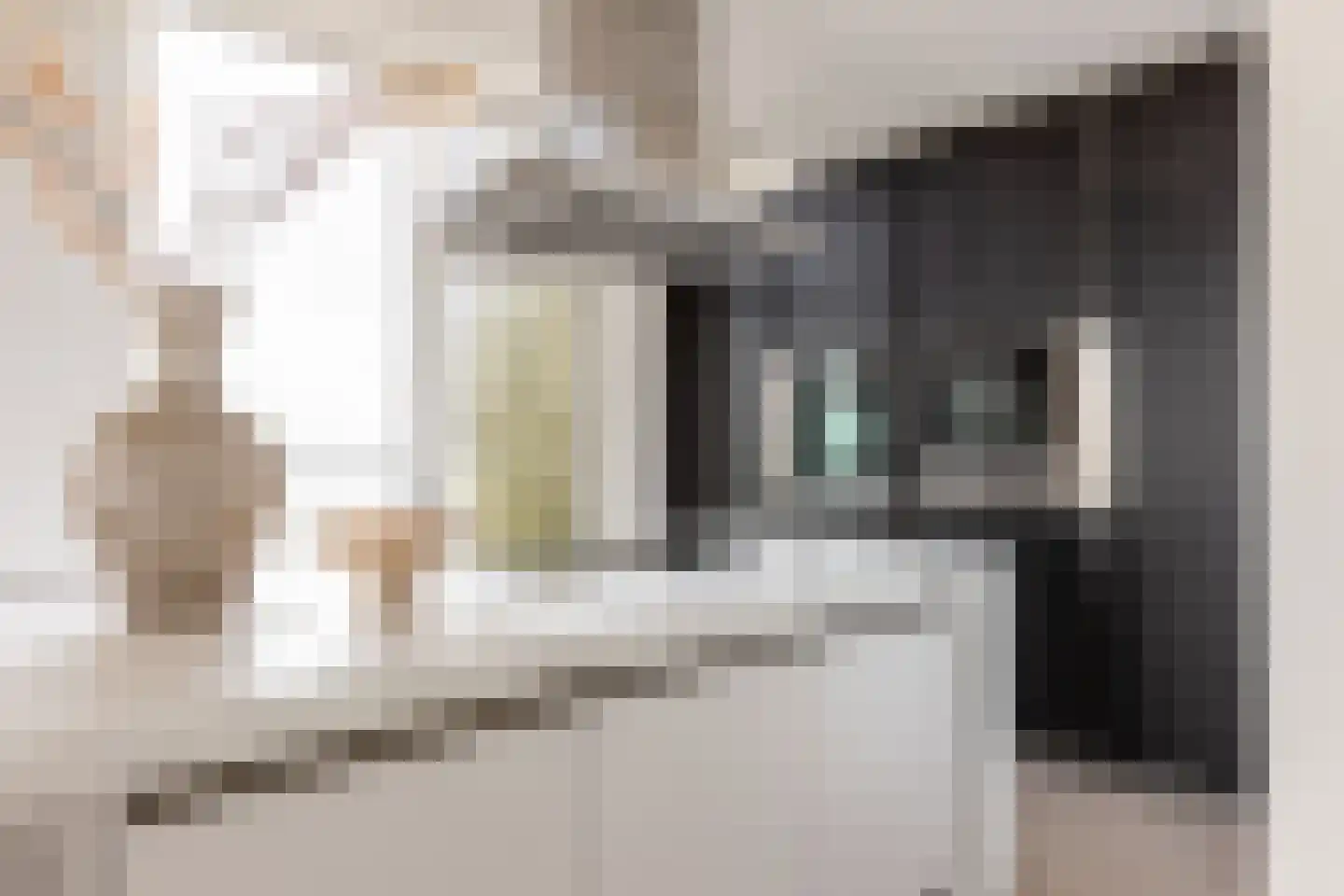 Van der Hoevenplein 232 Rotterdam thumbnail 18