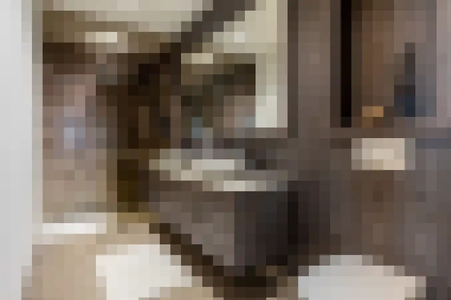 Van der Hoevenplein 232 Rotterdam thumbnail 30