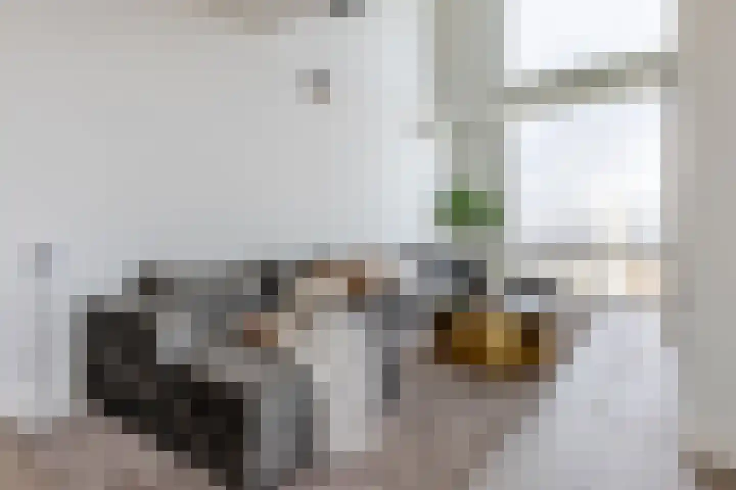 Van der Hoevenplein 232 Rotterdam thumbnail 7