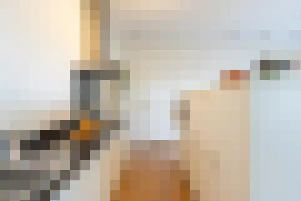 Van der Hoevenplein 24 Rotterdam thumbnail 12