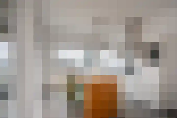 Van der Hoevenplein 42 Rotterdam thumbnail 5