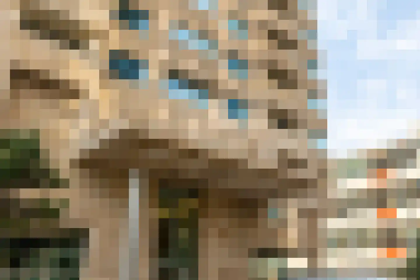 Van der Hoevenplein 49 Rotterdam thumbnail 29