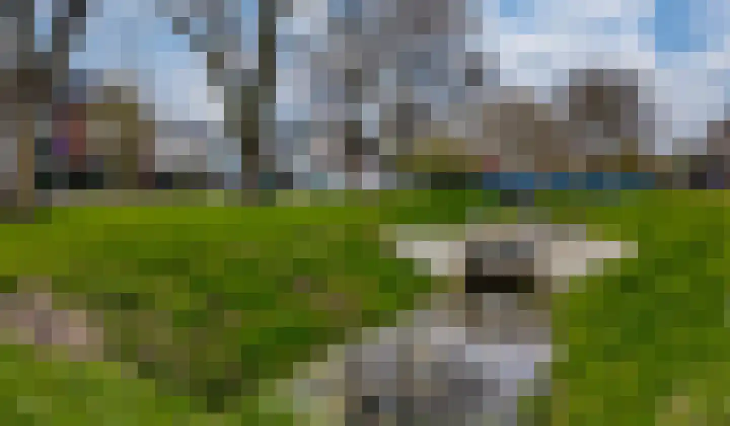 Van der Hoevensstraat 9 Westervoort thumbnail 51