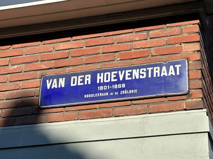 Van der Hoevenstraat 2 Leiden thumbnail 42