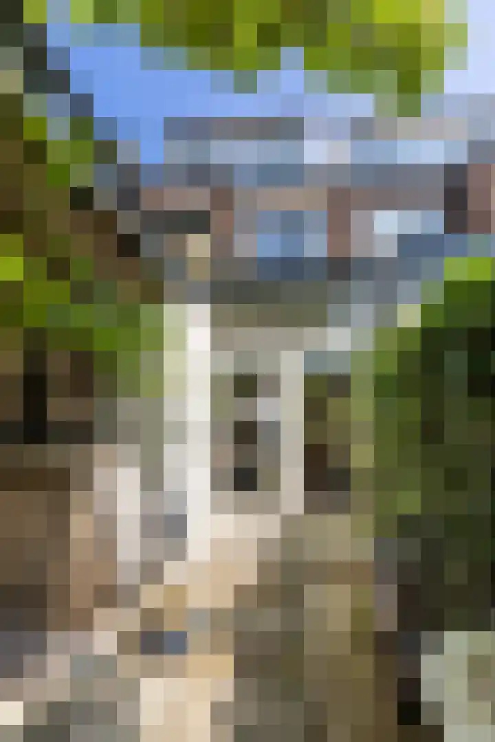 Van der Hoevenstraat 7 Leiden thumbnail 28
