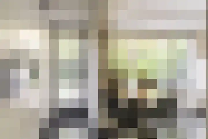 van der Hofstatstraat 11 Oirschot thumbnail 16