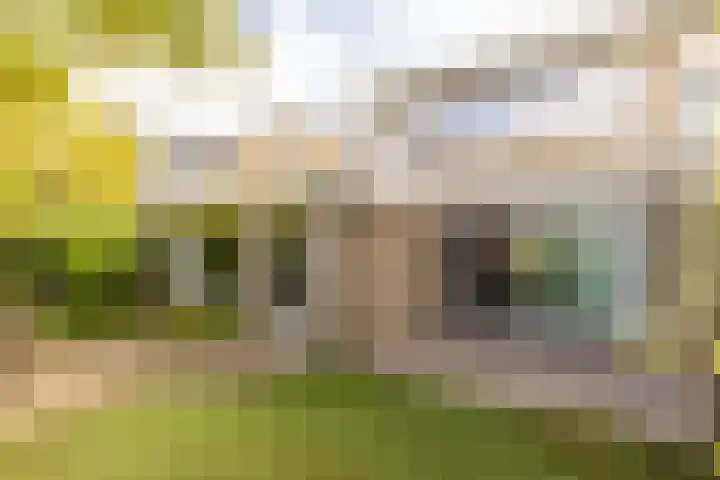 van der Hofstatstraat 11 Oirschot thumbnail 31