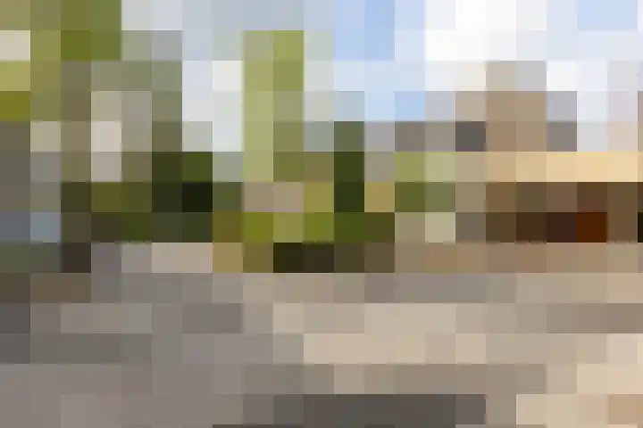 van der Hofstatstraat 11 Oirschot thumbnail 36