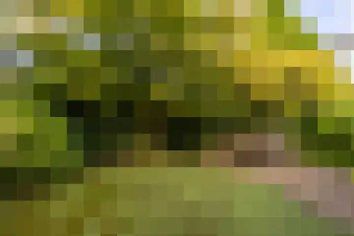 van der Hofstatstraat 11 Oirschot thumbnail 4
