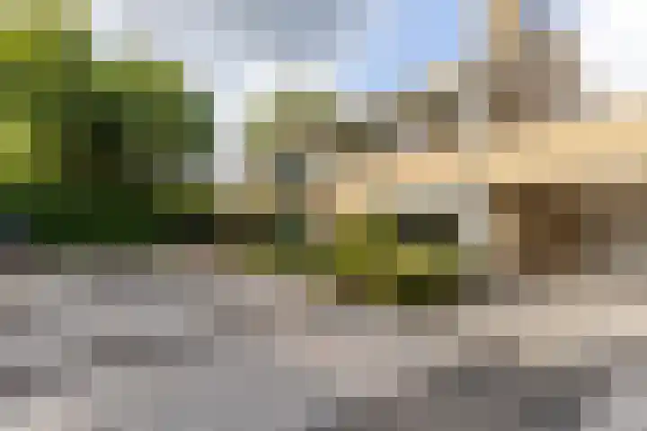 van der Hofstatstraat 11 Oirschot thumbnail 5