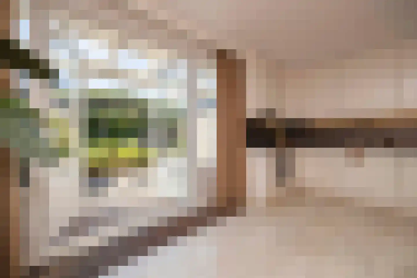 van der Hofstatstraat 7 Oirschot thumbnail 20