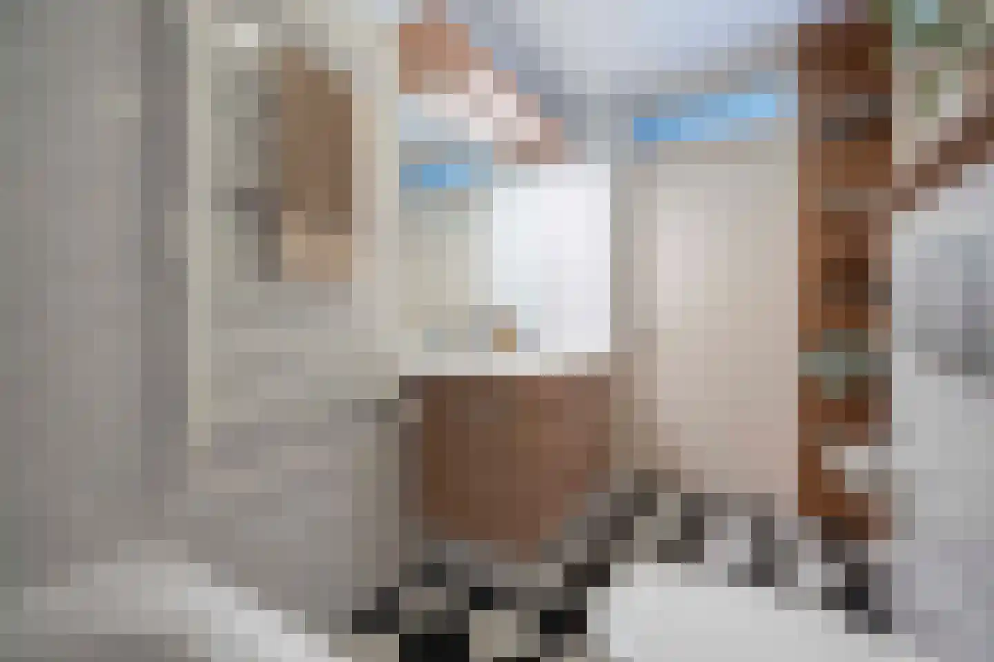 van der Hofstatstraat 7 Oirschot thumbnail 30