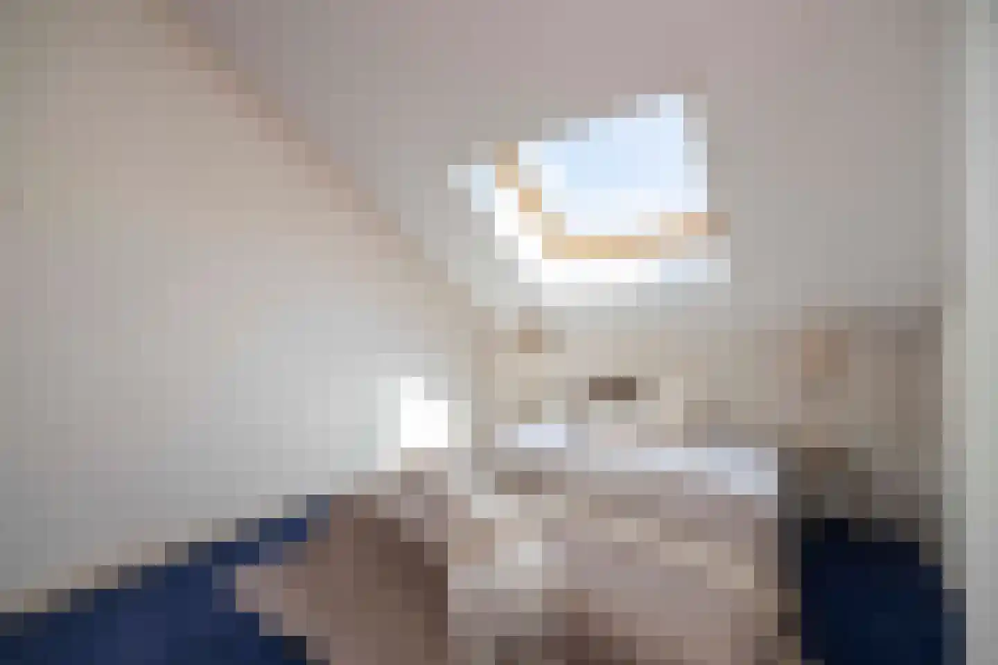 van der Hofstatstraat 7 Oirschot thumbnail 33