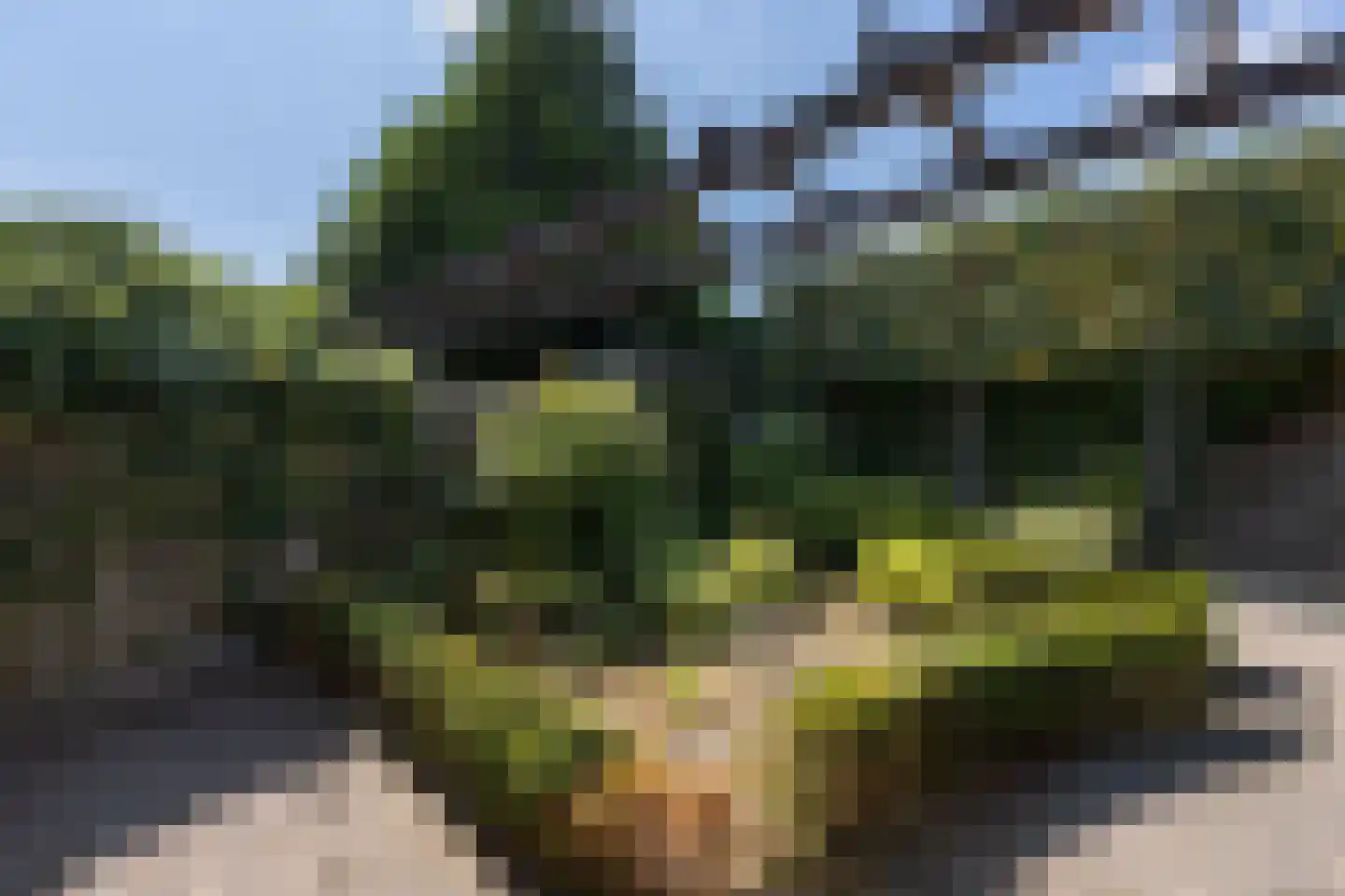 van der Hofstatstraat 7 Oirschot thumbnail 39