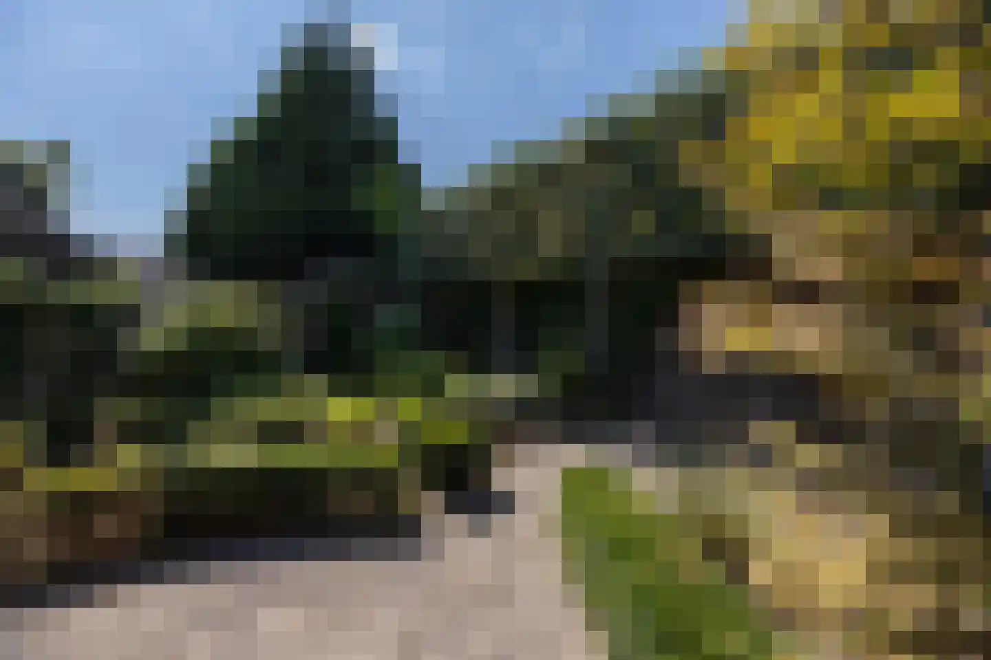 van der Hofstatstraat 7 Oirschot thumbnail 40