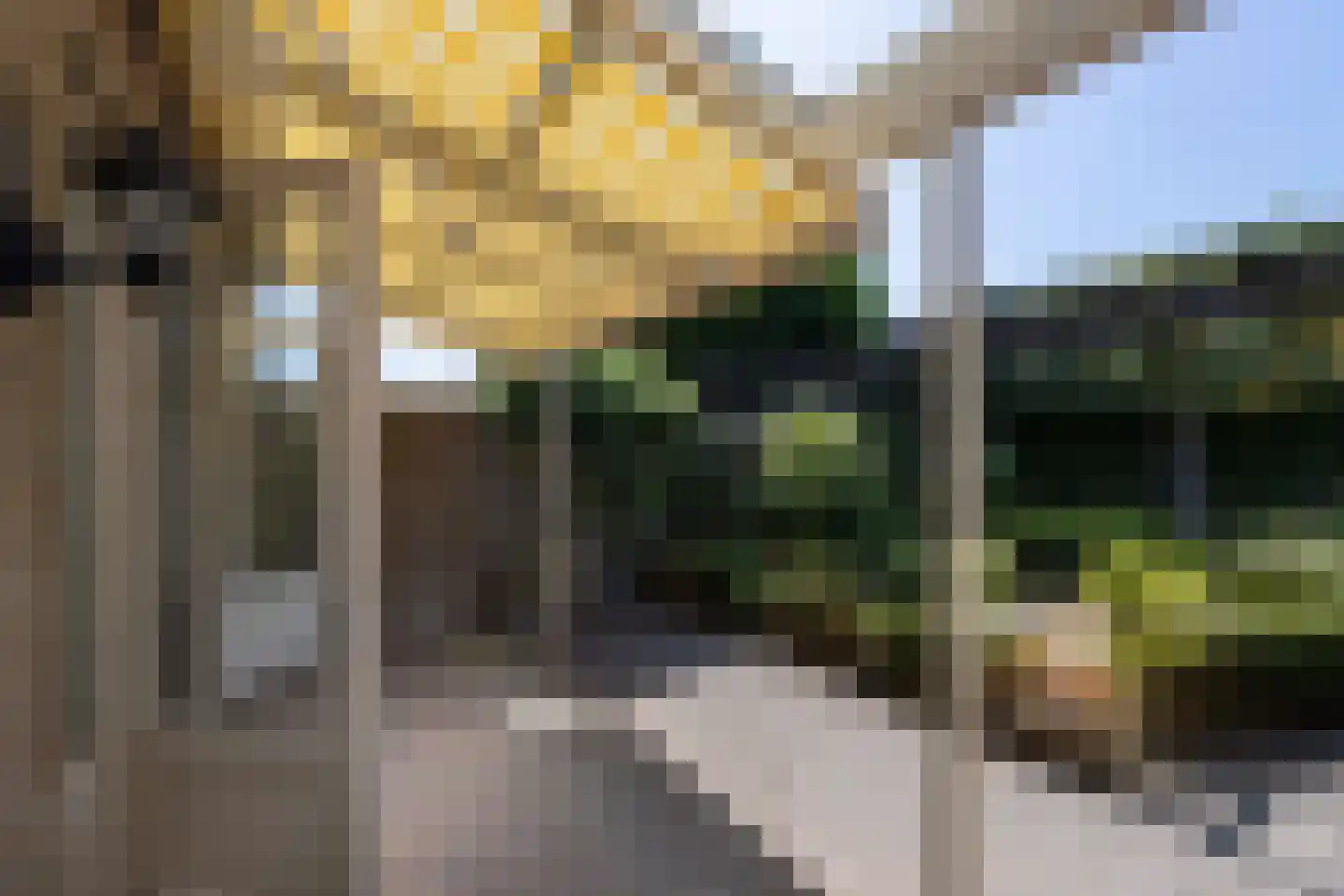 van der Hofstatstraat 7 Oirschot thumbnail 43