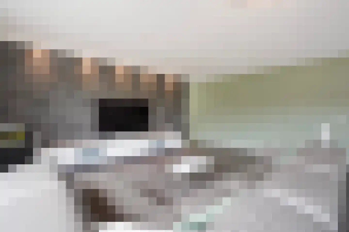 Van der Hoogenhof 3 Den Haag thumbnail 11