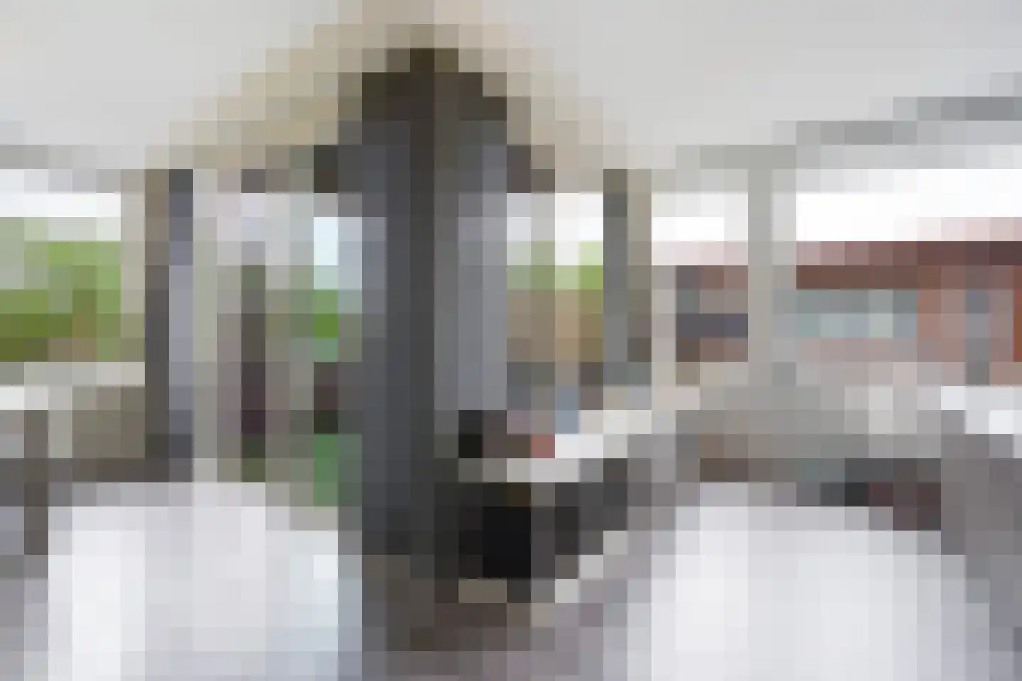 Van der Hoogenhof 3 Den Haag thumbnail 13