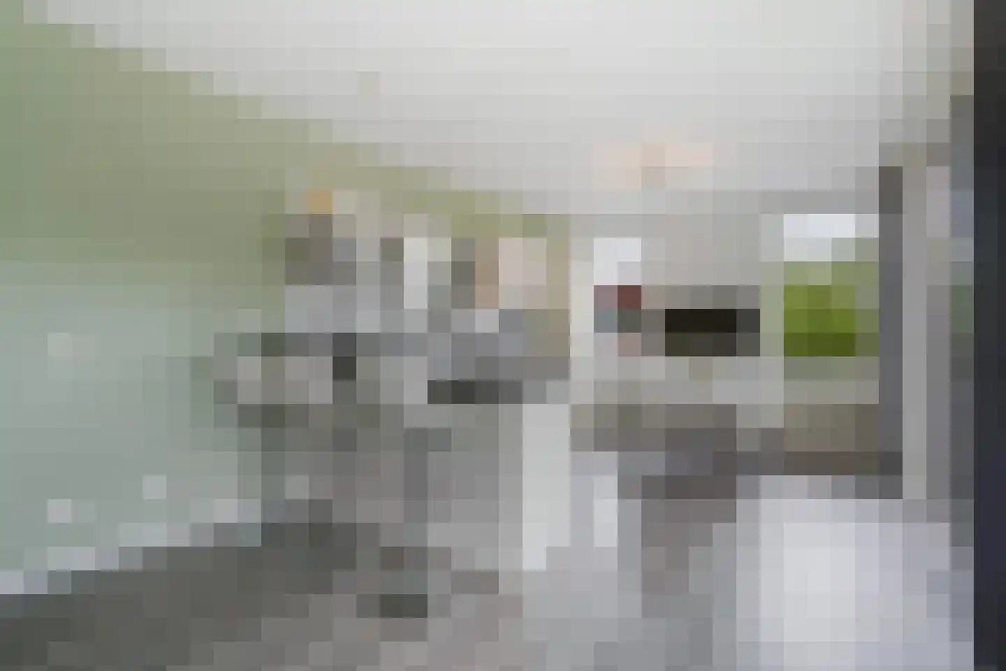 Van der Hoogenhof 3 Den Haag thumbnail 14