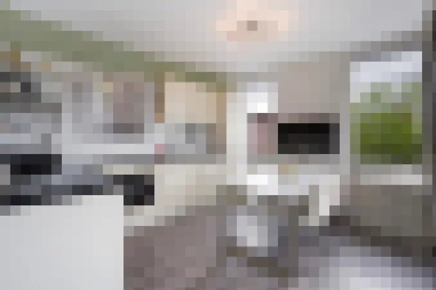 Van der Hoogenhof 3 Den Haag thumbnail 15