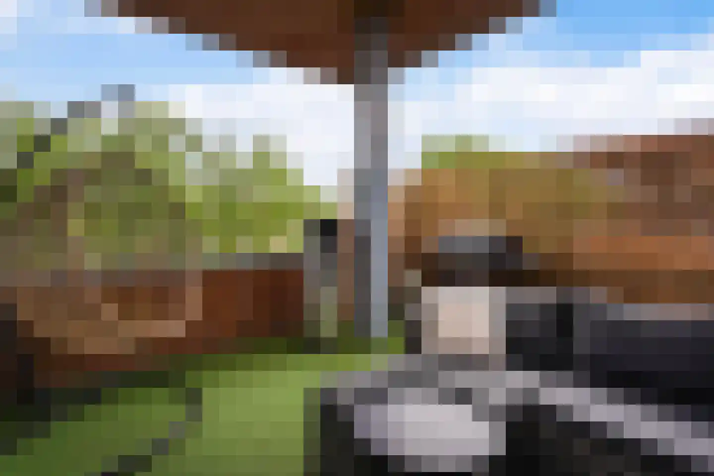 Van der Hoogenhof 3 Den Haag thumbnail 18