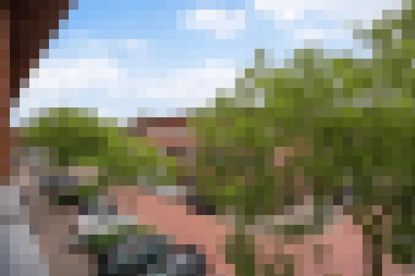 Van der Hoogenhof 3 Den Haag thumbnail 20