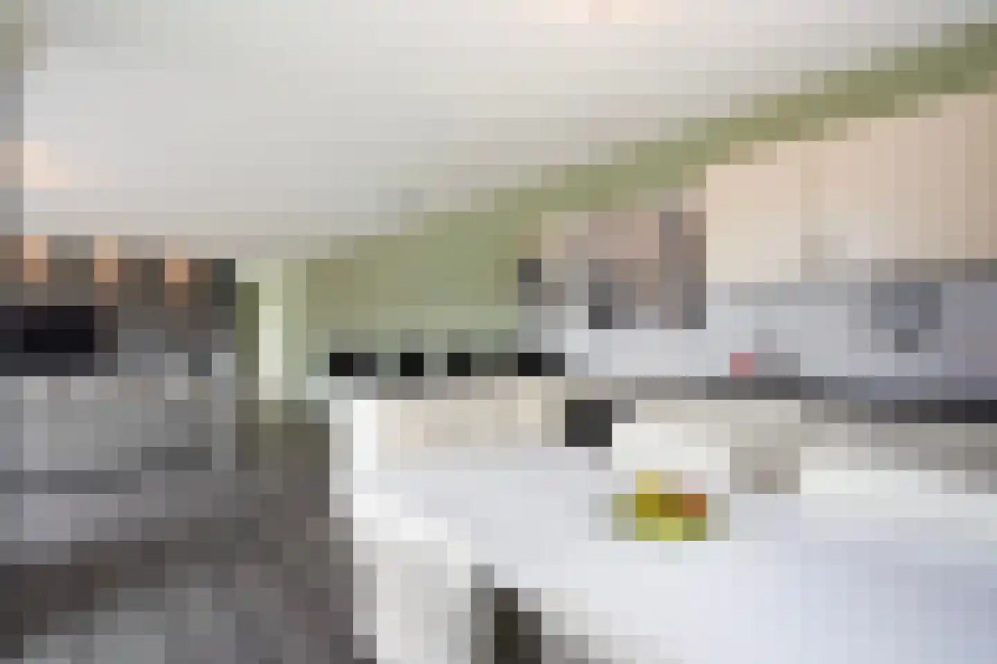 Van der Hoogenhof 3 Den Haag thumbnail 22