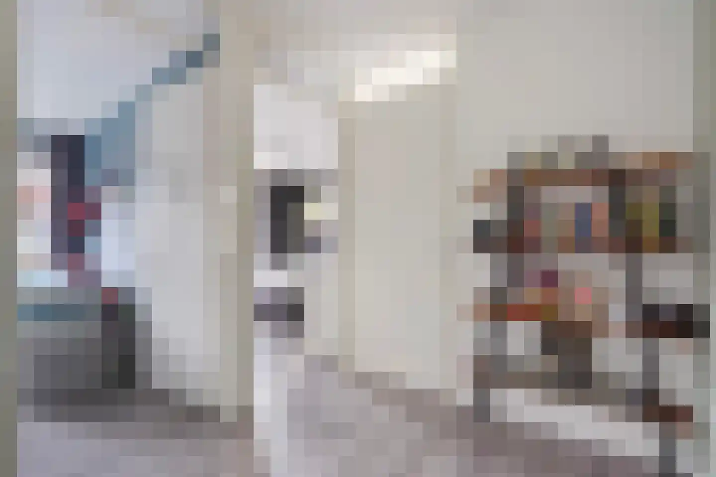 Van der Hoogenhof 3 Den Haag thumbnail 25