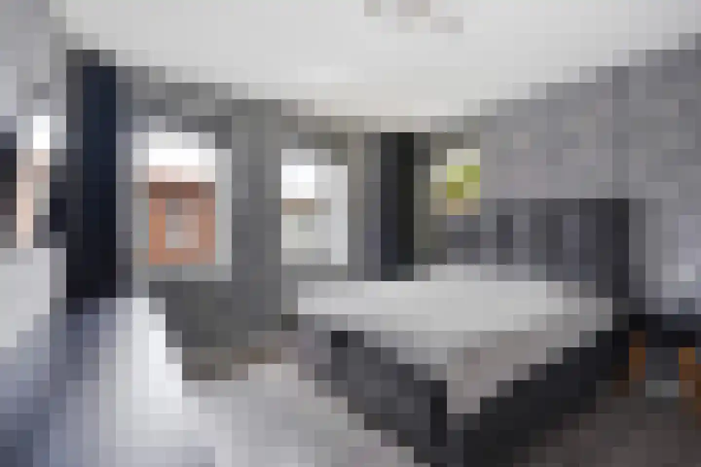 Van der Hoogenhof 3 Den Haag thumbnail 26