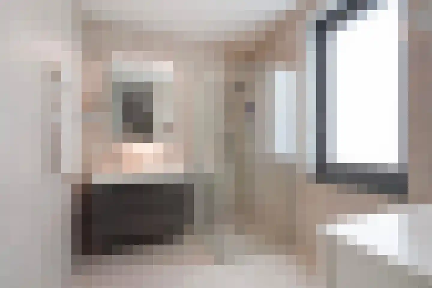 Van der Hoogenhof 3 Den Haag thumbnail 32
