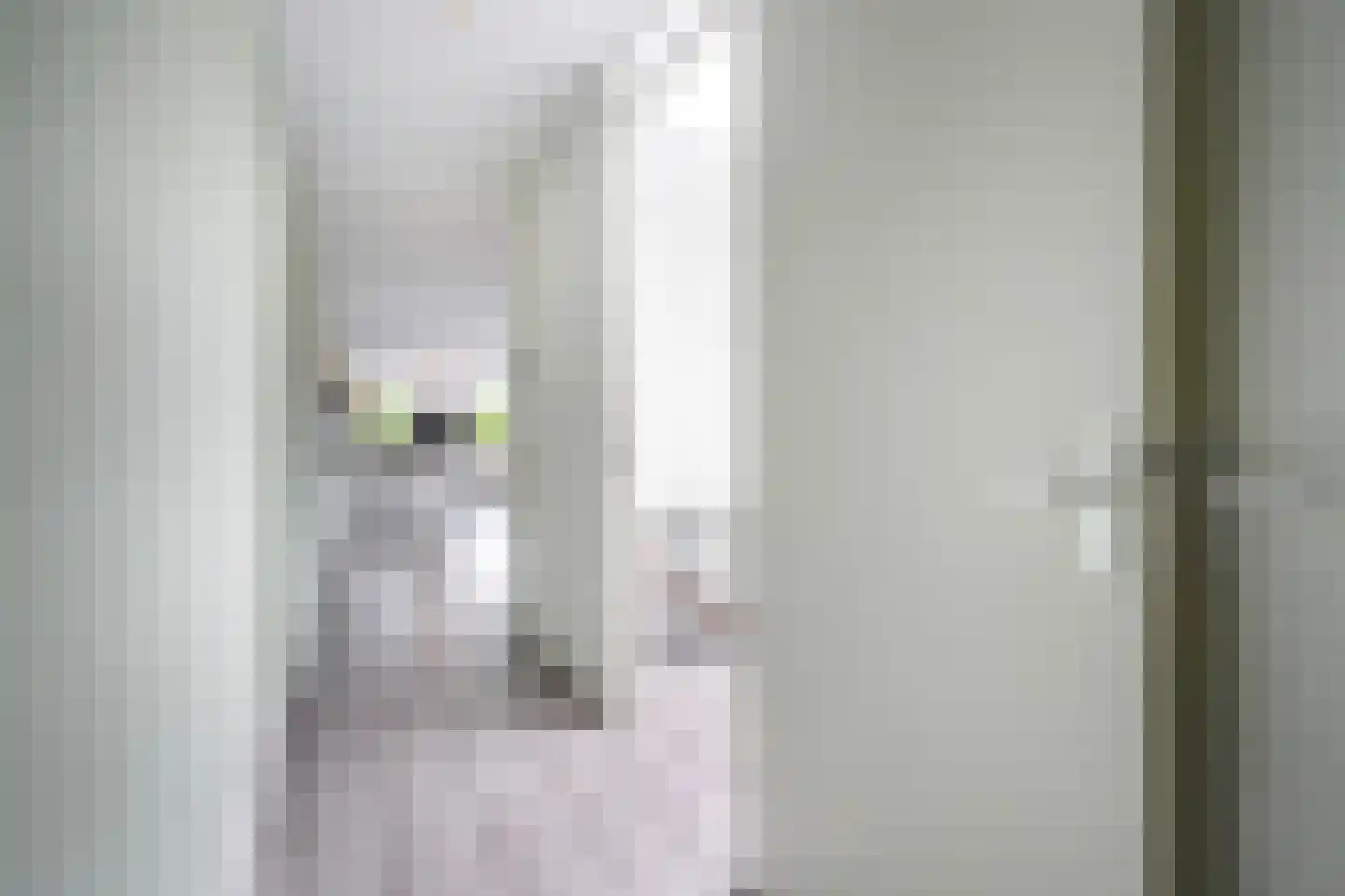 Van der Hoogenhof 3 Den Haag thumbnail 35