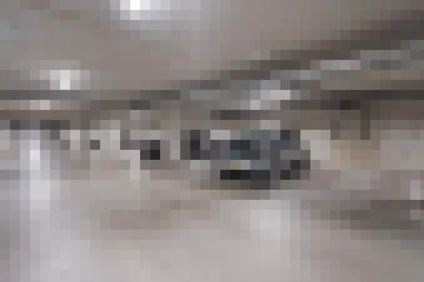 Van der Hoogenhof 3 Den Haag thumbnail 38