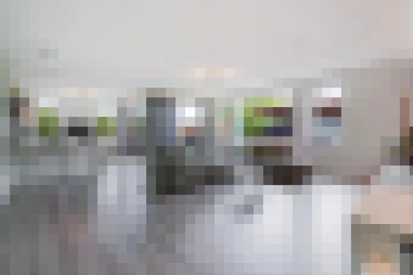 Van der Hoogenhof 3 Den Haag thumbnail 9