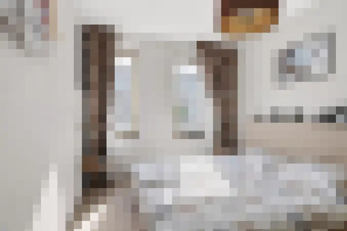 Van der Hoogenhof 9 Den Haag thumbnail 18