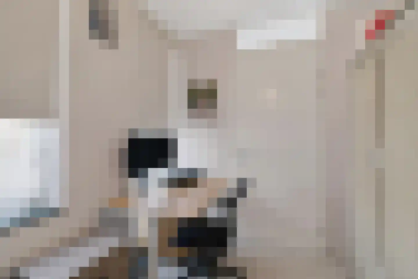 Van der Hoogenhof 9 Den Haag thumbnail 21