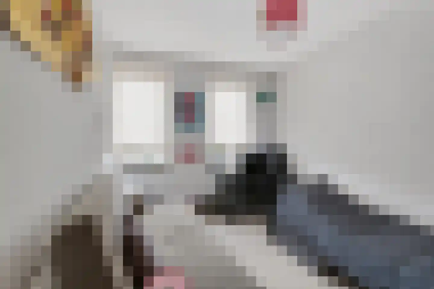 Van der Hoogenhof 9 Den Haag thumbnail 26