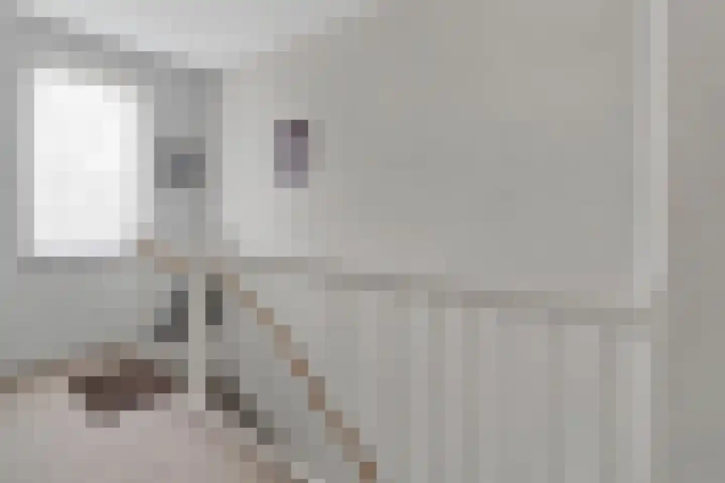 Van der Hoogenhof 9 Den Haag thumbnail 33