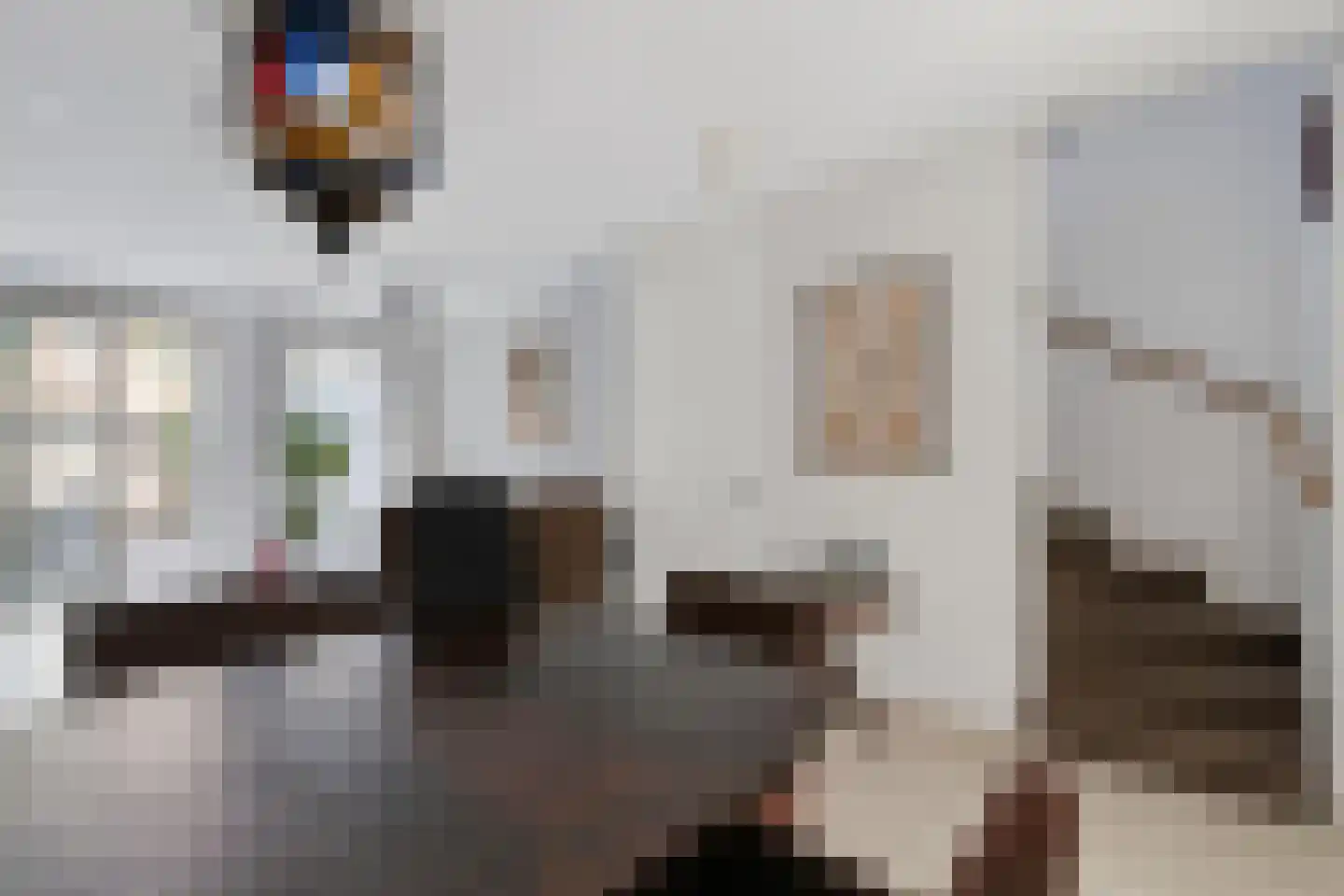 Van der Hoogenhof 9 Den Haag thumbnail 9