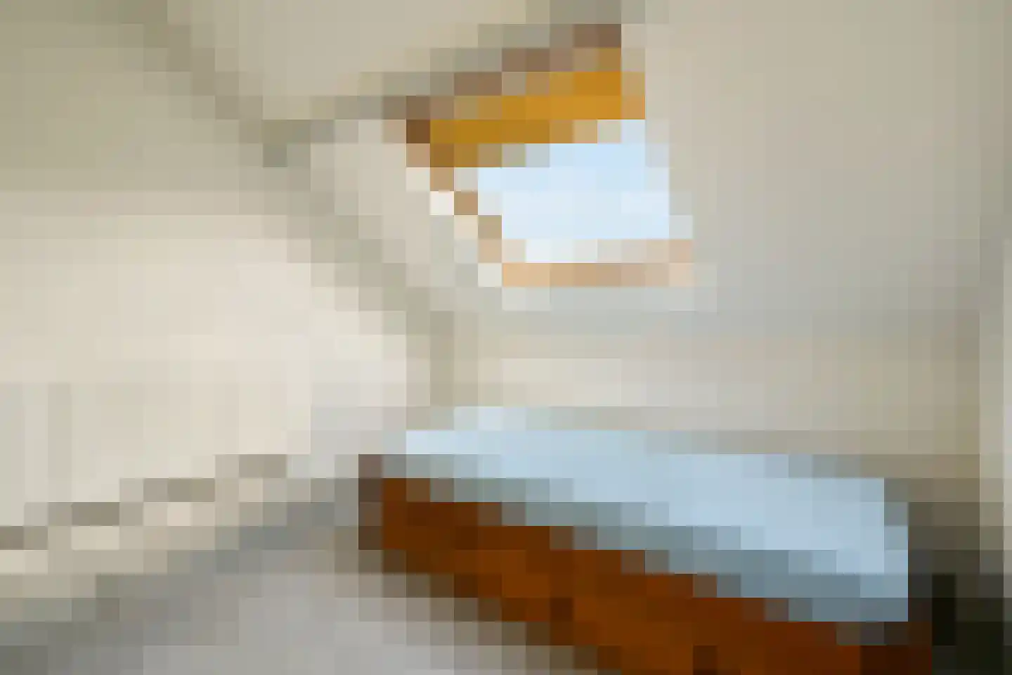 Van der Hooplaan 19 Amstelveen thumbnail 31