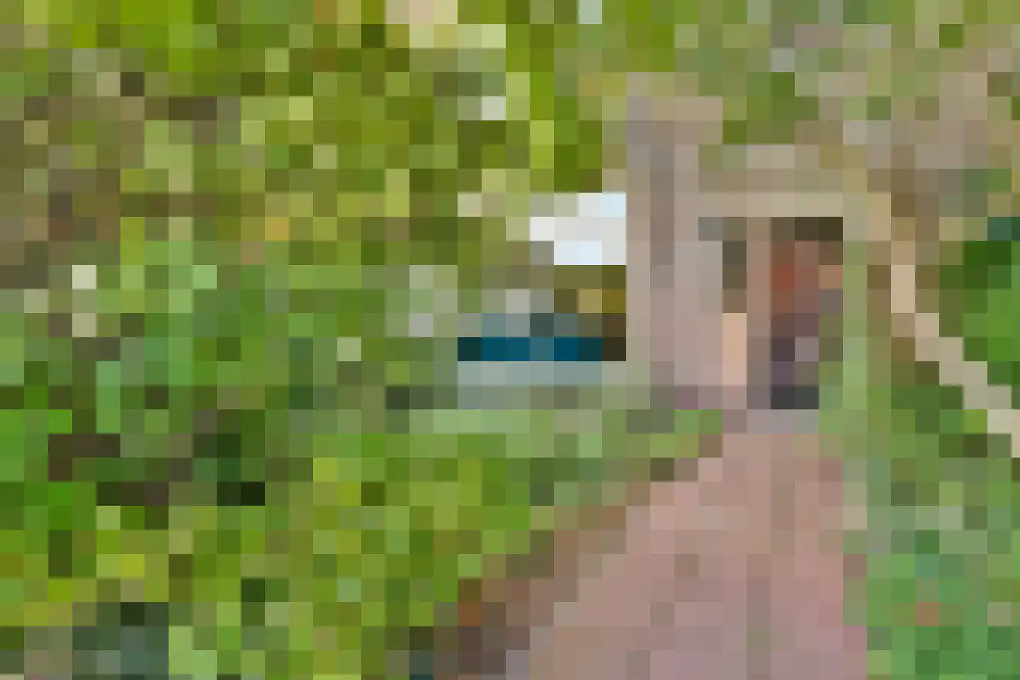 Van der Hooplaan 19 Amstelveen thumbnail 35