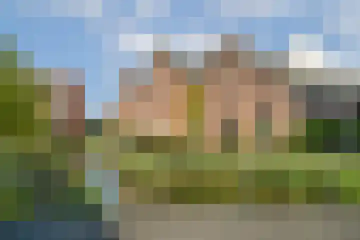 Van der Hoopstraat 125 3 Amsterdam thumbnail 22