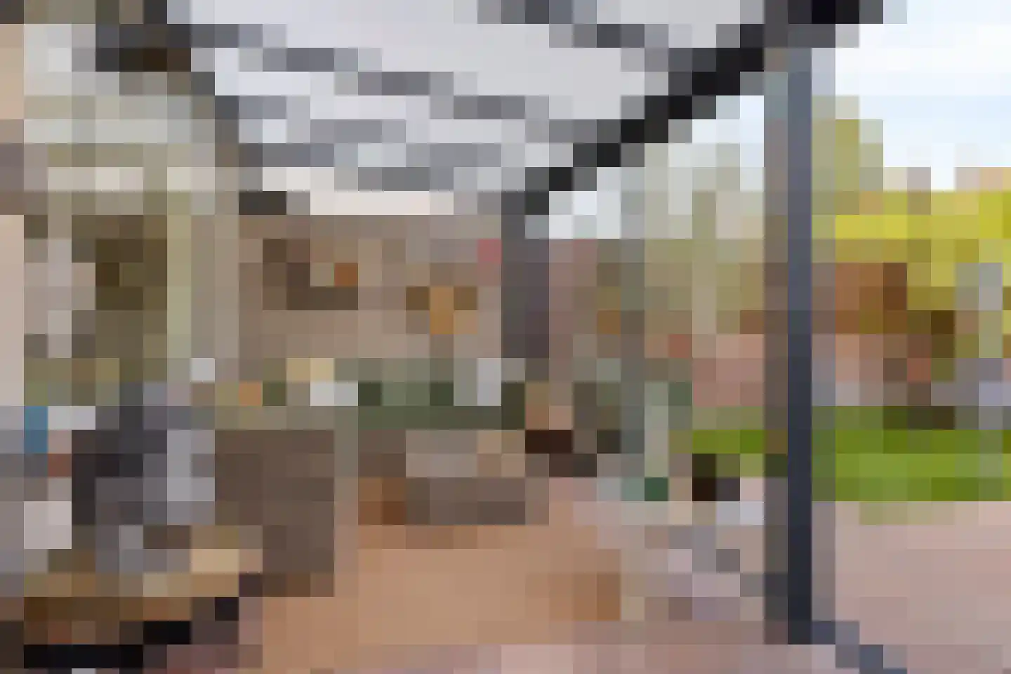 van der Hoopstraat 19 's-Hertogenbosch thumbnail 9