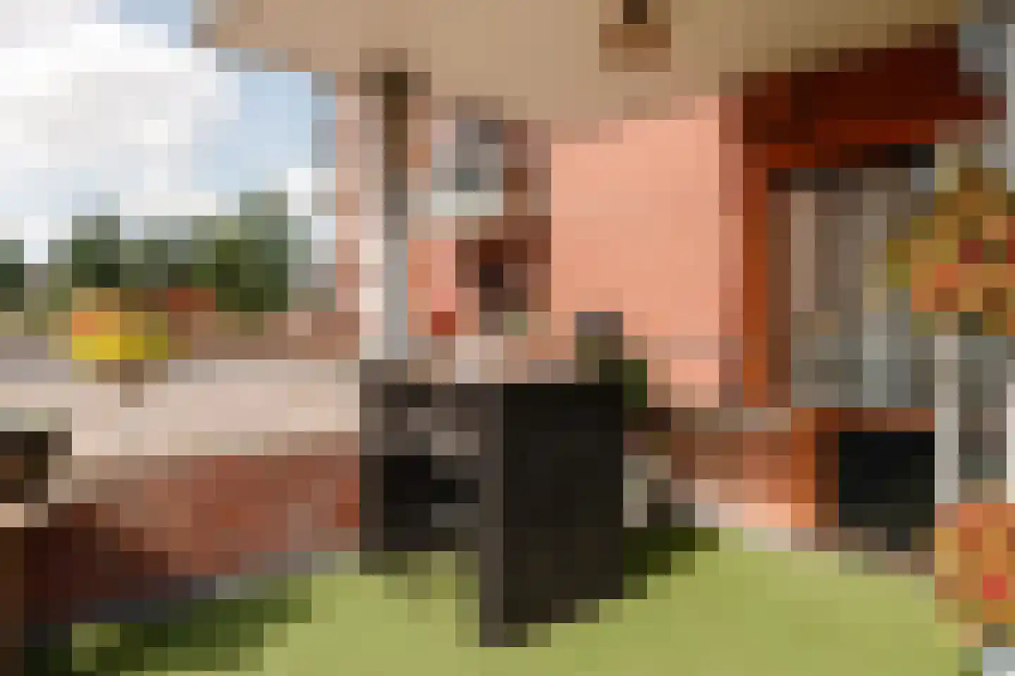 van der Hoopstraat 57 B Beverwijk thumbnail 17
