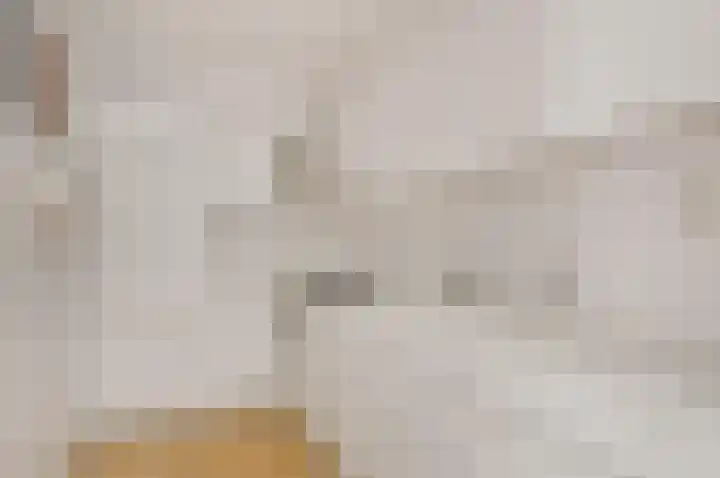 Van der Horstlaan 2 Heemstede thumbnail 10